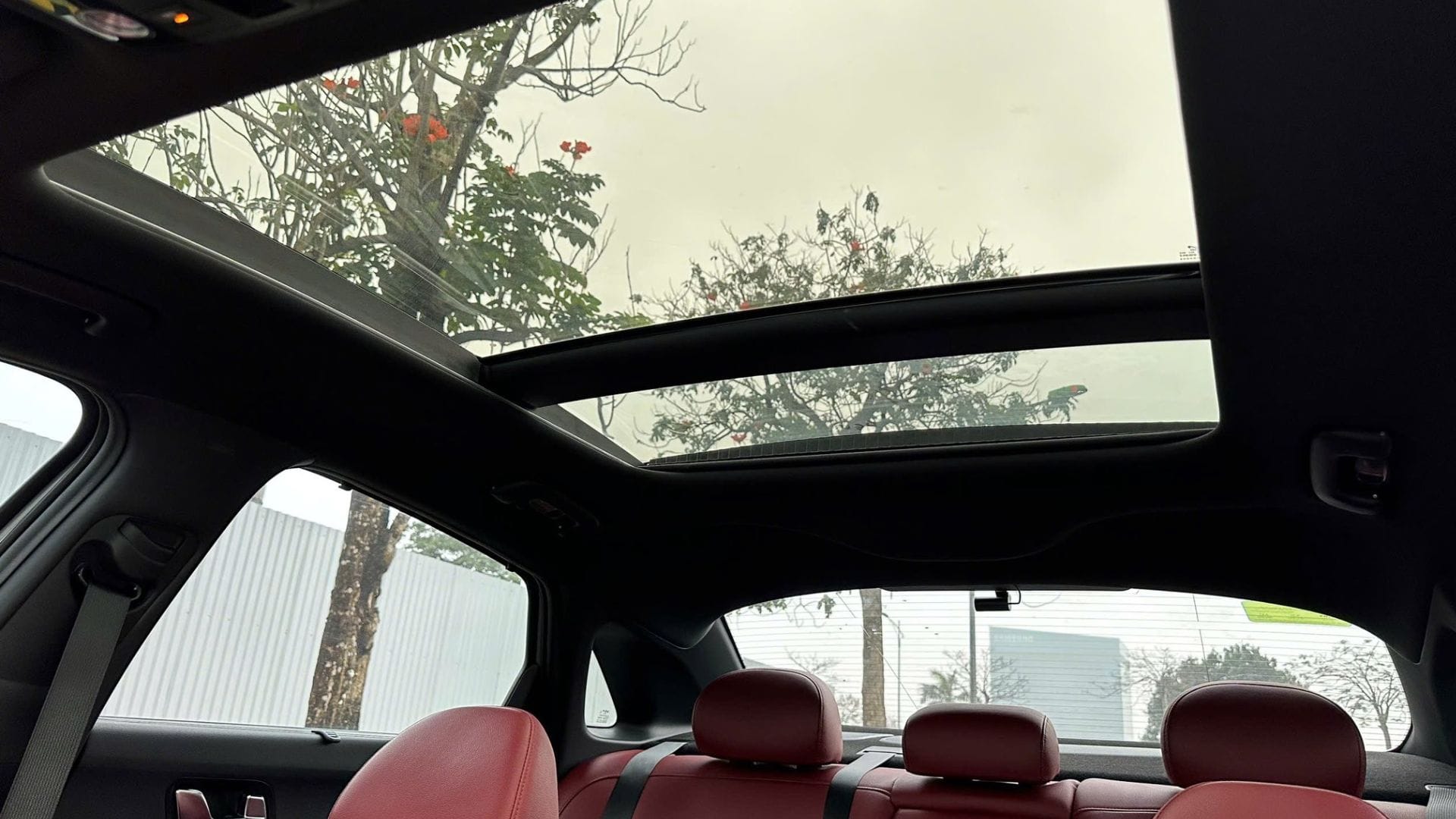 kiahanoi kia k5 gt line noi that 3