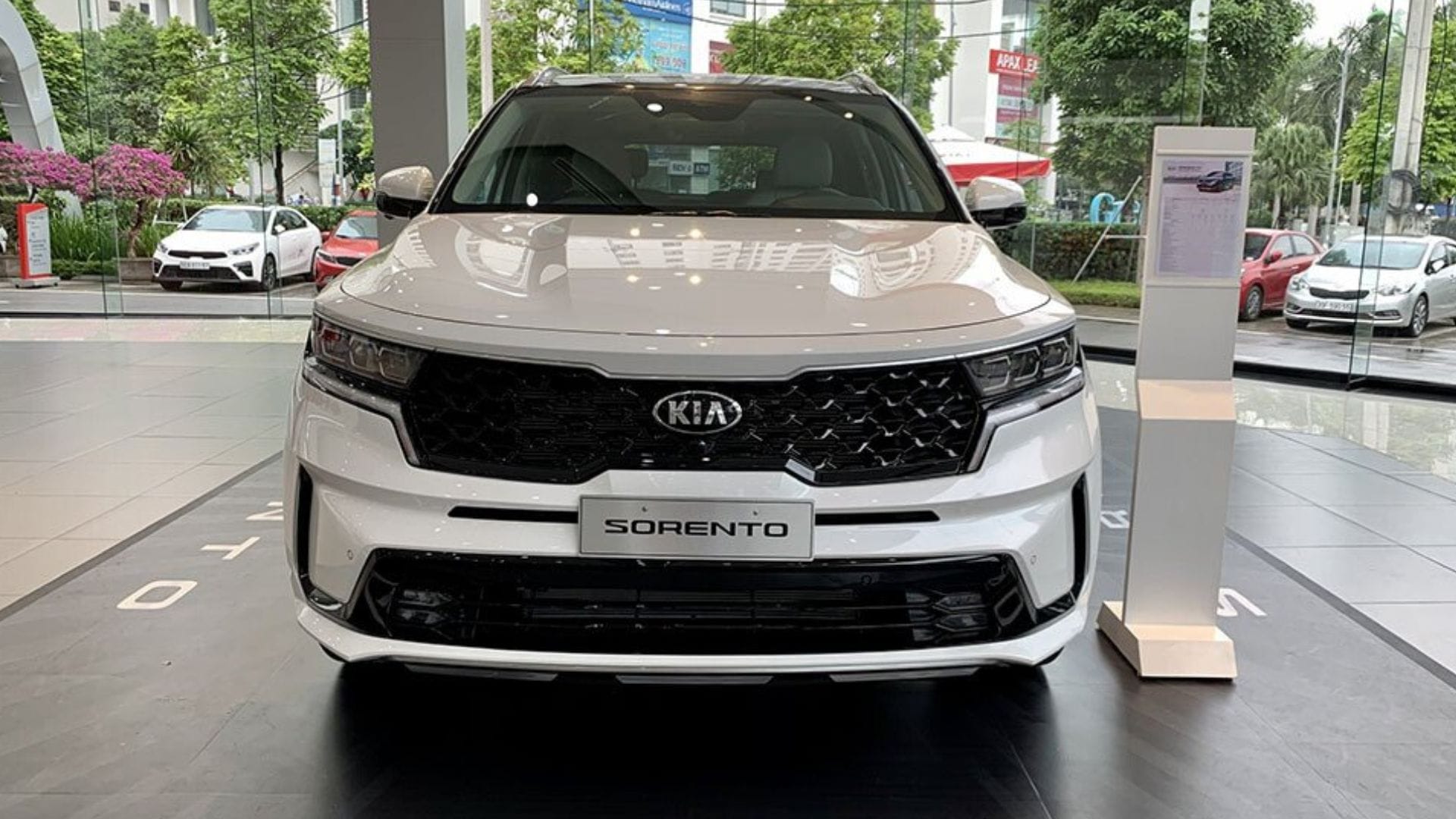 kialongbien kia sorento 2.5g premium ngoai that 1